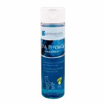 Dermoscent EFA Physio Shampoo защитный и питательный шампунь для кошек и собак, 200 мл 1 шт. 42404 фото