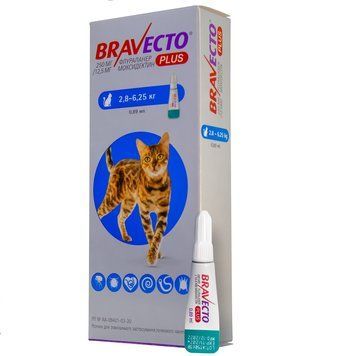 Bravecto Plus (Бравекто Плюс) Краплі від бліх, кліщів і глистів для котів вагою від 2,8 кг до 6,25 кг (захист на 12 тижнів) 1 уп. (1 піп.) 184755 фото